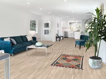 Reversible Wool Kilim Oriental Rug 3x4