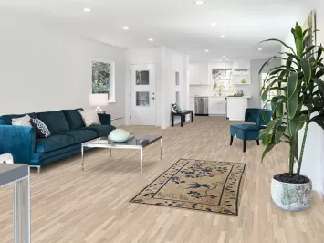 Animal Pictorial Art Deco Vegetable Dye Chinese Rug 3x6