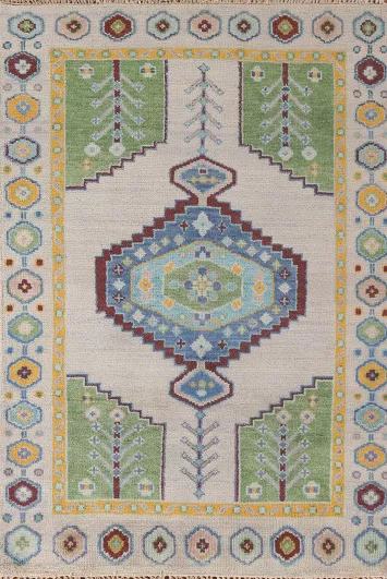 Geometric Heriz Serapi Oriental Rug 4x6