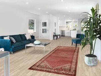 Botemir Persian Runner Rug 4x10