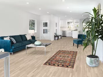 Orange Heriz Serapi Indian Accent Rug 3x6