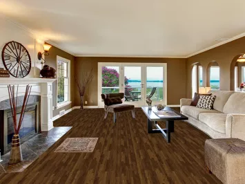 Geometric Heriz Serapi Indian Rug 2x3