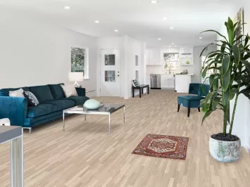 Geometric Heriz Serapi Indian Rug 2x3