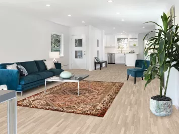 Antique Shiraz Persian Area Rug 6x9