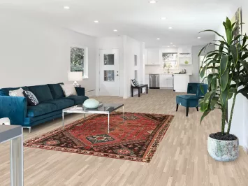 Vegetable Dye Shiraz Persian Area Rug 6x9