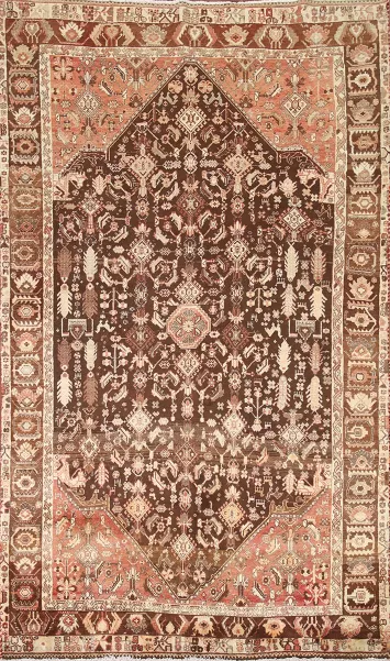 Vegetable Dye Shiraz Persian Area Rug 5x8