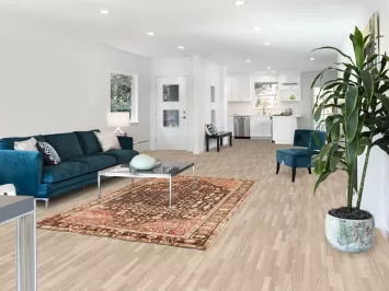 Vegetable Dye Shiraz Persian Area Rug 5x8