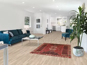 Vintage Red Shiraz Persian Rug 4x5