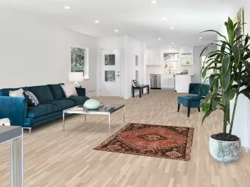 Antique Qashqai Persian Rug 4x5