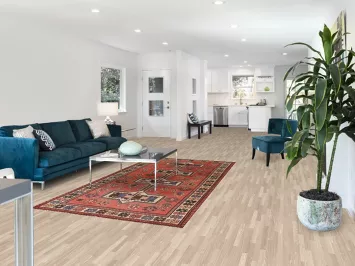 Vintage Wool Bakhtiari Persian Area Rug 5x9