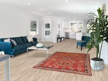 Vegetable Dye Shiraz Persian Rug 5x7