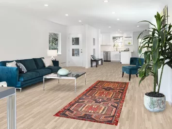 Geometric Meshkin Persian Runner Rug 3x9