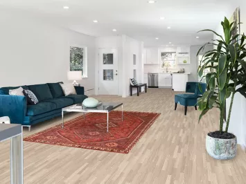 Vegetable Dye Shiraz Persian Area Rug 5x8