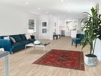 Tribal Geometric Shiraz Persian Rug 4x6