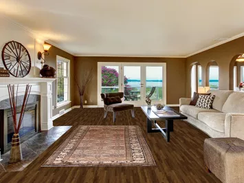 Geometric Hamedan Persian Area Rug 5x9