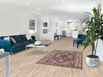 Gray Heriz Serapi Oriental Rug 4x6