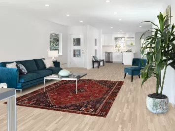 Vintage Wool Shiraz Persian Area Rug 6x9