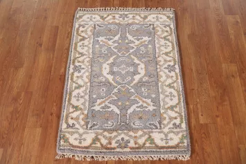 Gray Oushak Oriental Foyer Rug 2x3