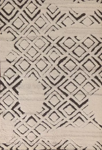 Trellis Moroccan Indian Area Rug 5x8