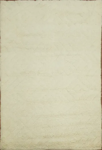 Earth Tone Wool Moroccan Indian Area Rug 5x8