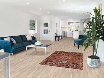 Tribal Vintage Shiraz Persian Rug 4x6