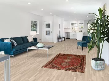 Vegetable Dye Shiraz Persian Rug 4x5