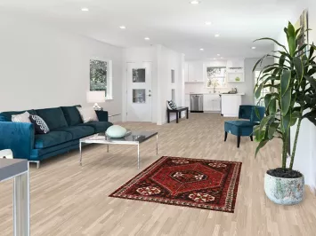 Vegetable Dye Qashqai Persian Rug 4x5