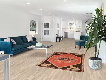 Vegetable Dye Shiraz Persian Rug 4x6