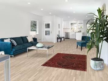 Pre-1900 Antique Qashqai Persian Rug 4x5