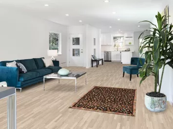 Vegetable Dye Brown Sirjan Persian Rug 3x5