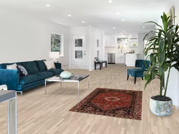 Tribal Wool Shiraz Persian Rug 4x6