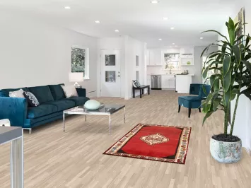 Geometric Red Shiraz Persian Rug 3x5