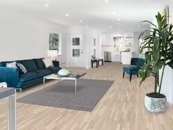 Outdoor Moroccan Indian Area Rug 5x8