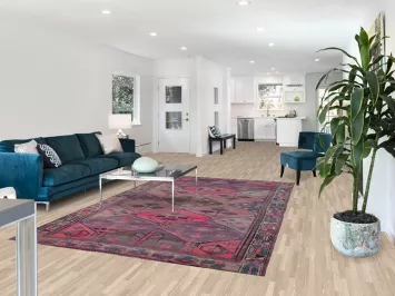 Over-Dyed Wool Bakhtiari Persian Area Rug 6x9