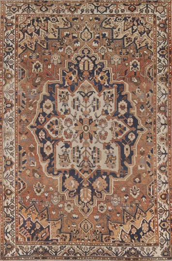 Handmade Wool Bakhtiari Persian Area Rug 7x10