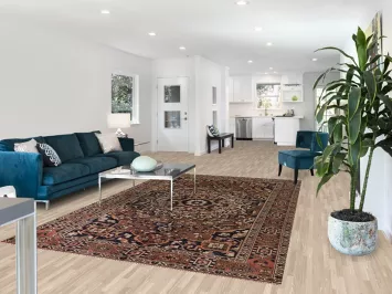 Brown Bakhtiari Persian Area Rug 7x10