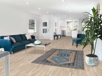 Geometric Wool Bakhtiari Persian Rug 5x7