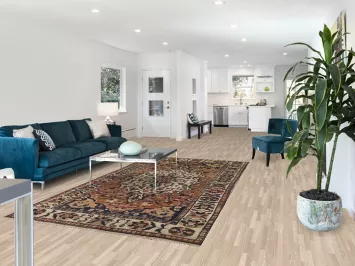 Vintage Bakhtiari Persian Area Rug 5x10