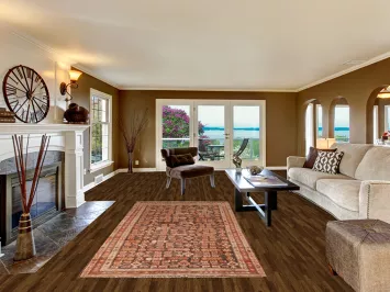 Geometric Meshkin Persian Area Rug 5x9