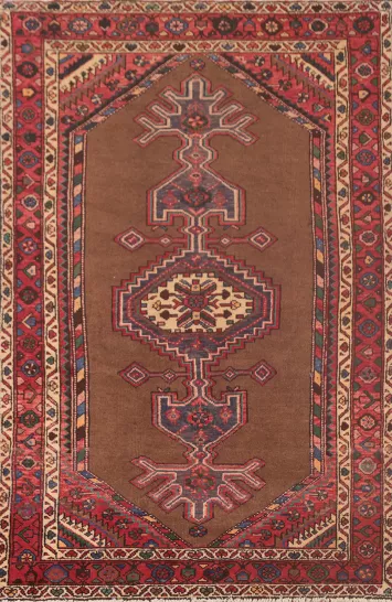Brown Geometric Hamedan Persian Rug 5x7
