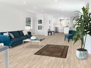 Geometric Wool Botemir Persian Rug 3x5