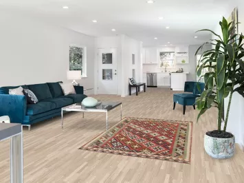 Vegetable Dye Kilim Qashqai Persian Rug 4x6