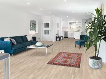 Geometric Heriz-Serapi Oriental Rug 3x5