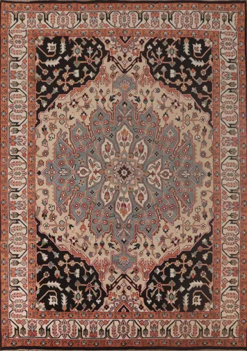 Handmade Heriz-Serapi Oriental Area Rug 9x12