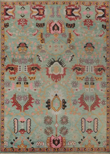 Light Green Heriz-Serapi Oriental Area Rug 9x12