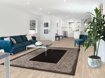 Black Qum Traditional Area Rug 6x10