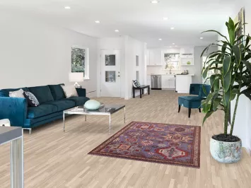 Geometric Oushak Oriental Rug 4x6