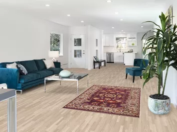 Handmade Wool Oushak Oriental Rug 4x6