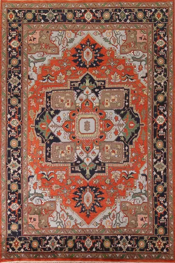 Orange Heriz-Serapi Oriental Area Rug 9x12