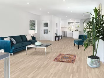 Geometric Heriz Serapi Indian Accent Rug 2x3